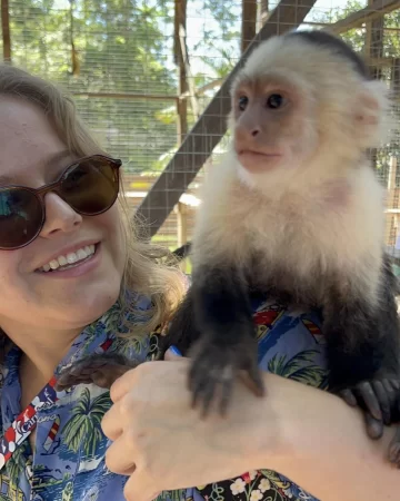 Monkeys, Sloths And Snorkel Adventure